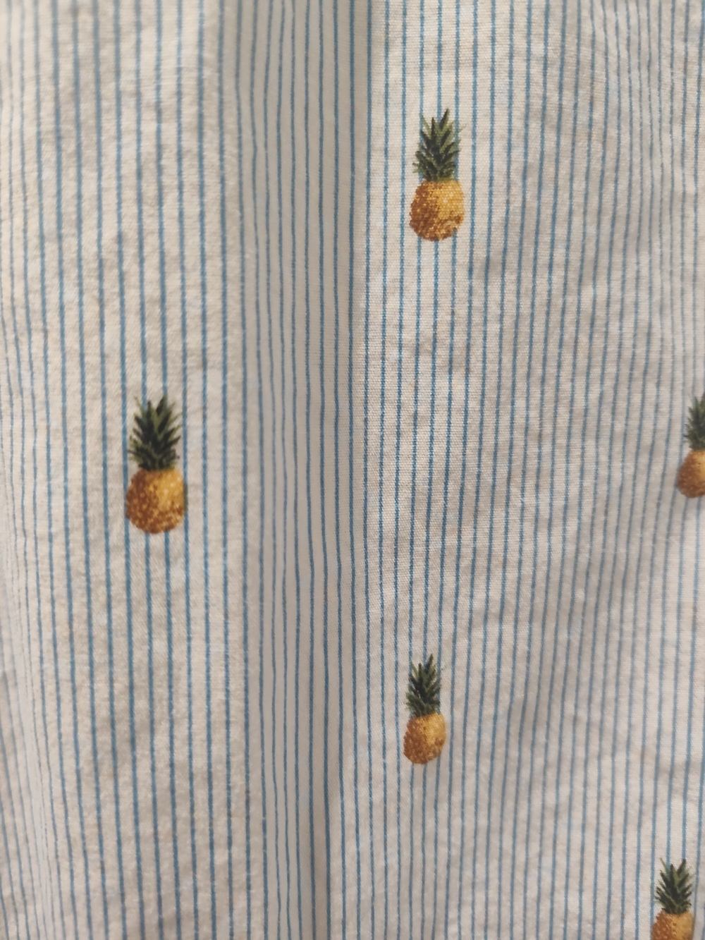 Denim & Flower Light Blue Striped Short-Sleeve Button-Down with Pineapple Print - Picture 3 of 4